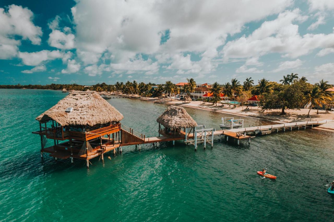 The Lodge At Jaguar Reef Hopkins Exteriér fotografie