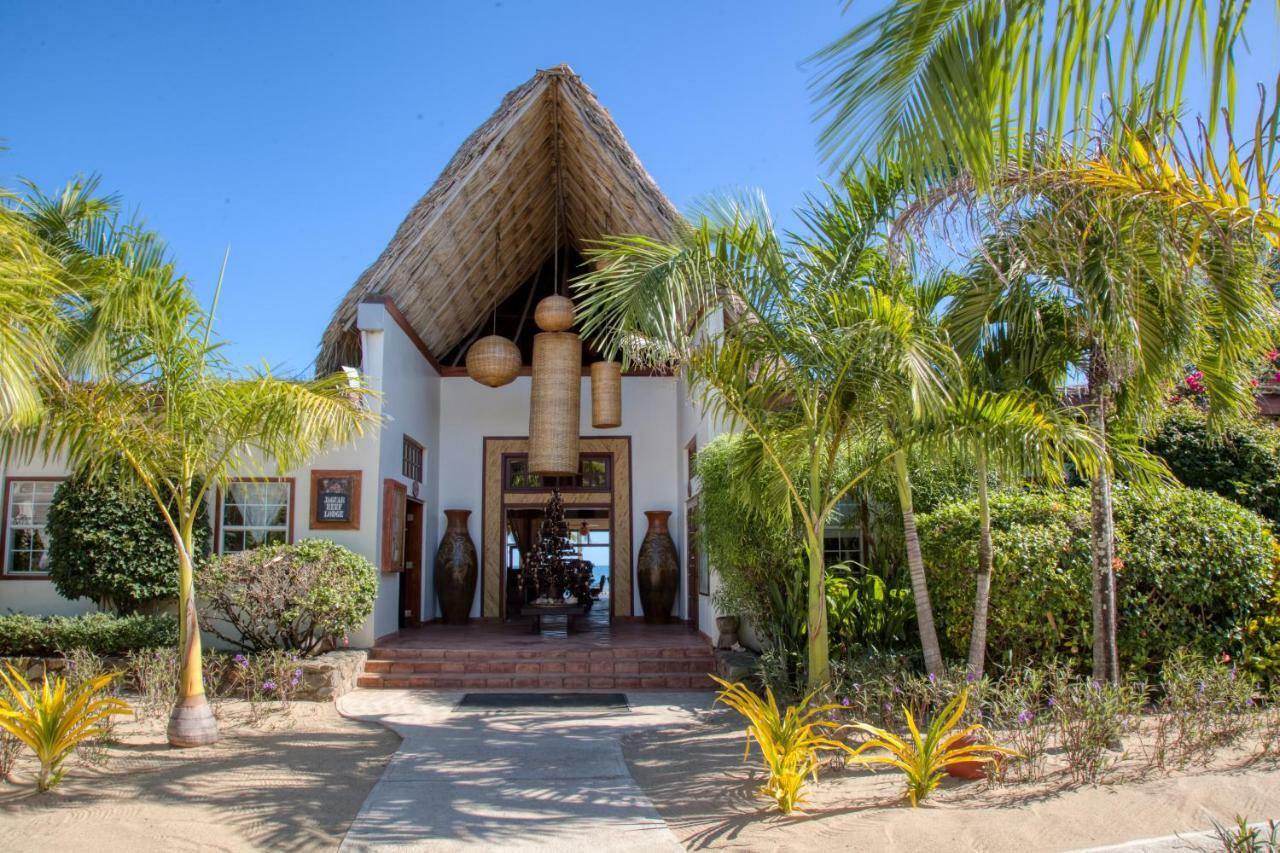 The Lodge At Jaguar Reef Hopkins Exteriér fotografie